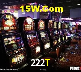 Login Seguro 222T